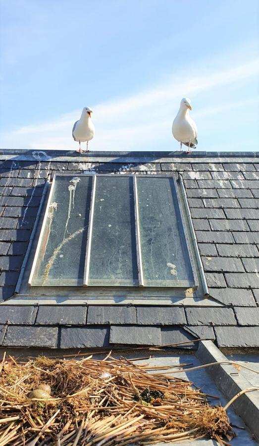 Loft Avec Echappee Mer 46M2 - 4Pers Lejlighed Trouville-sur-Mer Eksteriør billede
